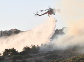 Φωτιά στην Εύβοια: Βελτιωμένη η εικόνα το πρωί της Κυριακής! Στη μάχη ξανά τα εναέρια μέσα – Δεν απειλούνται κατοικημένες περιοχές (Video)