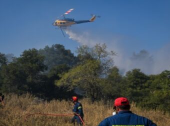 Πυρκαγιά καίει δάσος στη Φωκίδα: Συναγερμός στην Πυροσβεστική – Έσπευσαν και εναέρια μέσα