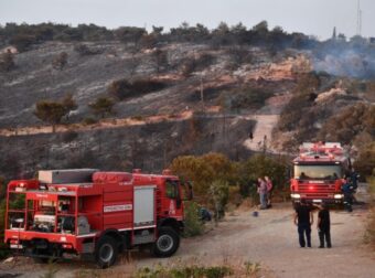 Δάση γίνονται στάχτη για ακόμη ένα καλοκαίρι: Πύρινα μέτωπα σε Φωκίδα, Φθιώτιδα, Χαλκιδική – Μεγάλη κινητοποίηση επίγειων και εναέριων Μέσων (video)