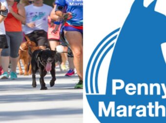 «Penny Marathon», Μια Γιορτή Για Τα Αδέσποτα -Η Ιστορία Της Πένυ, Μιας Σκυλίτσας Που Βρέθηκε Νεκρή Στην Άκρη Του Δρόμου