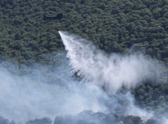 Φωτιά στην Σάμο: Αναζωπύρωση λόγω των ανέμων