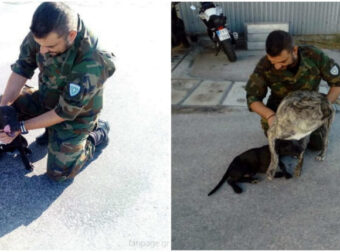 Οι άντρες του Πολεμικού Ναυτικού Σαλαμίνας αγαπάνε τα ζώα, όπως θα έπρεπε να κάνουμε όλοι μας.