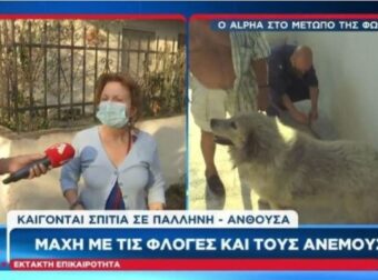 Φωτιά Πεντέλη: «Δεν ήθελε να φύγει από το σπίτι της» – Ανατριχιαστικό περιστατικό με εγκυμονούσα στον 8ο μήνα