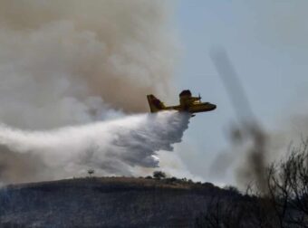 Φωτιά στην Ηλεία: Συνελήφθη κάτοικος της περιοχής για εμπρησμό – Οι περίεργες κινήσεις του