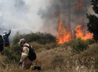 Θεσσαλονίκη: Άτομο που καλλιεργούσε χασίς στο δάσος αναζητείται ως ύποπτο για τη φωτιά στο Σέιχ Σου (Video)