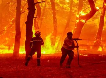 Πύρινος εφιάλτης στην Ελλάδα: Πέντε ανεξέλγκτα μέτωπα σε Έβρο, Λέσβο, Γρεβενά, Πρέβεζα και Μεσσηνία