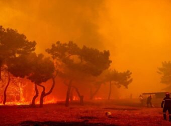 Φωτιά στην Λέσβο: Στιγμές αγωνίας σε παραλία – Απεγκλωβίστηκαν 9 άτομα με σκάφη του λιμενικού