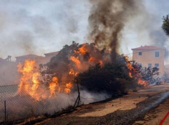 Φωτιά στον Έβρο: Δύσκολες ώρες στη Δαδιά – Εκκενώθηκε το μοναστήρι