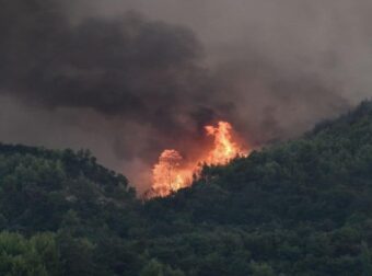 Φωτιά στη Λίμνη Δασίου – Άμεση κινητοποίηση της Πυροσβεστικής