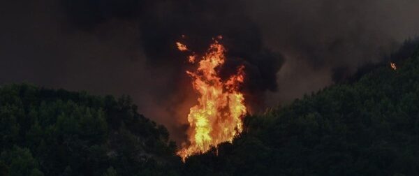 Νέος συναγερμός στην Πυροσβεστική: Φωτιά στα Κρέστενα!