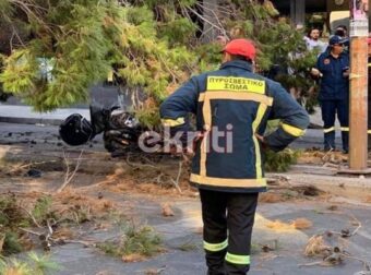 Τραγωδία στο Ηράκλειο: Τον πλάκωσε δέντρο και τον σκότωσε (φωτο)