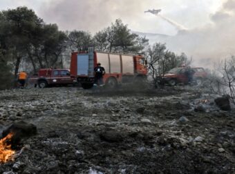 Φωτιά στο Γραμματικό Αττικής