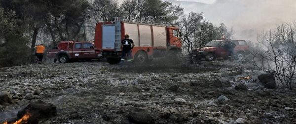 Φωτιά στο Γραμματικό Αττικής