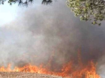 Όχι Θεέ μου: Εντοπίστηκε νεκρός ένας βοσκός στη μεγάλη φωτιά στη Βοιωτία