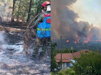 Η μητέρα γη σπαράζει: Μεγάλη καταστροφή της φύσης – Κάηκαν 75.000 στρέμματα στην Αλεξανδρούπολη με την φωτιά