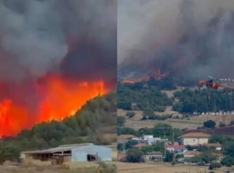 Στάχτη και αποκαΐδια στον Αβάντα: Κάηκαν 4 σπίτια στο χωριό, από την φωτιά στην Αλεξανδρούπολη