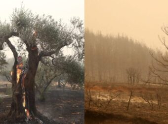 Θλιβερός ο απολογισμός από τις φωτιές: Πάνω από 400.000 στρέμματα κάηκαν σε τρεις ημέρες