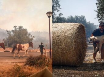 Εικόνες που συγκλονίζουν από τη φωτιά στη Φυλή: Κάτοικοι και πυροσβέστες σώζουν περιουσίες και ζώα