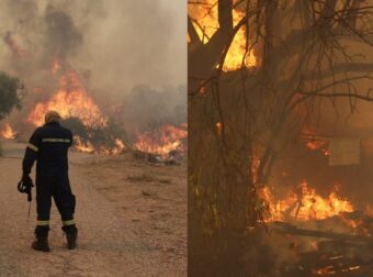 «Μέχρι τον εγκέφαλο μπορεί να φτάσουν τα σωματίδια από τις πυρκαγιές»: Να χρησιμοποιούν μάσκα οι πολίτες