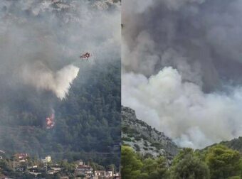 Σπαράζει η μητέρα γη: Οι φλόγες καίνε και τον τελευταίο «πνεύμονα» της Αττικής – Η φωτιά έφτασε στον Εθνικό Δρυμό της Πάρνηθας