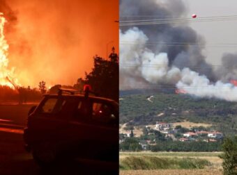 Συγκλονίζει μελισσοκόμος απο τη φωτιά στην Αλεξανδρούπολη: «Κάηκαν 10 εκατ. μέλισσες, τα κοριτσάκια μου»