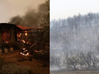 Φωτιά στον Έβρο: Εντοπίστηκε ένας ακόμη απανθρακωμένος μετανάστης στη Λευκίμμη