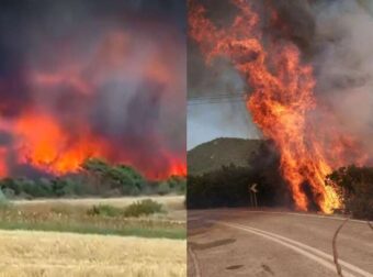 Μεγάλη φωτιά στον Έβρο: Μαίνονται τα μέτωπα σε Λεπτοκαρυιά και Κοτρωνιά