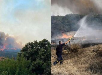 Δεν έχει τέλος η μεγαλύτερη φωτιά της Ευρώπης: Πύρινος εφιάλτης στον Έβρο για 12η νύχτα – Αναδάσωση υπόσχεται η κυβέρνηση