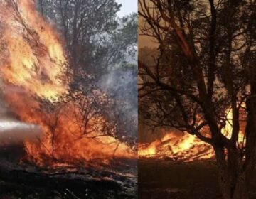 ΕΚΤΑΚΤΟ – Μεγάλη φωτιά ΤΩΡΑ – Σηκώθηκαν 10 εναέρια – Συναγερμός στην Πυροσβεστική