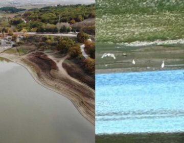 Μετά το Βόλο, ξεβράζει νεκρά ψάρια η τεχνητή λίμνη του Περδίκκα