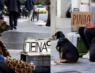 Σκυλάκια στην «υπηρεσία» κυκλωμάτων επαιτείας και άνθρωποι που ζητιανεύουν ξυπόλητοι σε Αθήνα – Θεσσαλονίκη